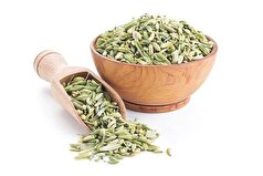 فواید و خطرات گیاه دارویی رازیانه برای زنان