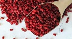 زرشک چگونه به تعادل صفرا و سلامت کبد کمک می‌کند؟