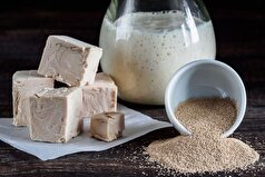 دانشمندان راز هزاران ساله مهاجرت مخمر‌ها در کنار انسان‌ها را کشف کردند