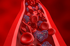 سلاحی جدید برای مقابله با فشار خون بالا