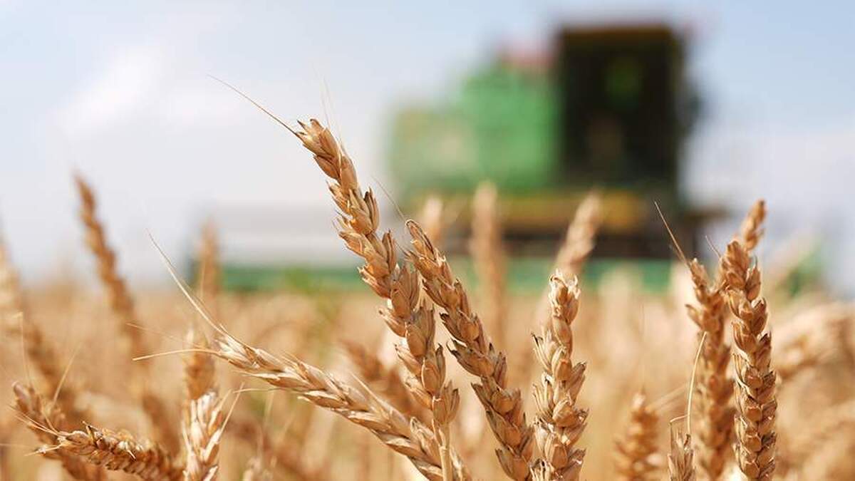 سفیر روسیه در تاجیکستان، امیدوارکننده‌ترین مقاصد صادراتی روسیه را معرفی کرد.