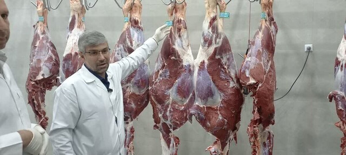 فعالیت ۳۰۰۰ واحد عرضه‌کننده فرآورده‌های خام دامی در لرستان/ ارتقای مرکز تشخیص بیماری‌های دامی استان
