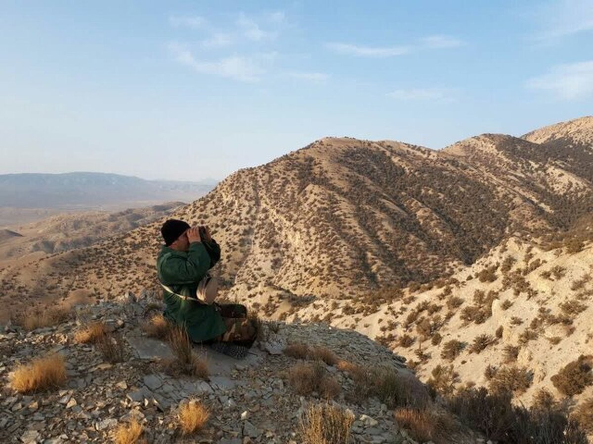 آغاز سرشماری پاییزه پستانداران در خراسان شمالی / پایش گسترده حیات‌وحش در مناطق چهارگانه استان