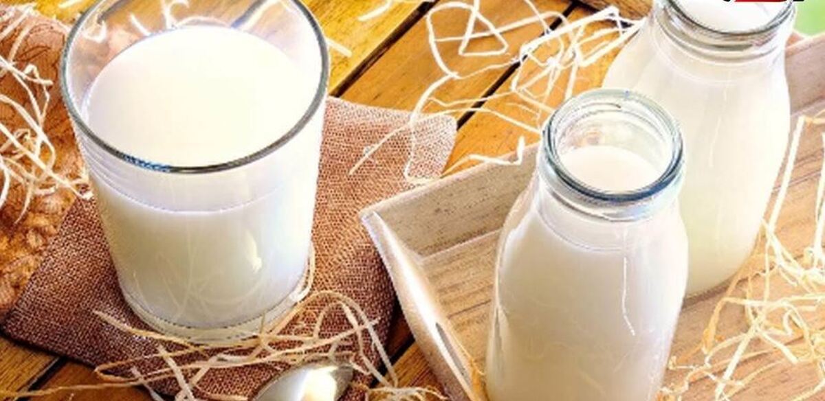 مراقب مصرف روزانه شیر باشید، نوشیدن زیاد آن مرگ آور است!