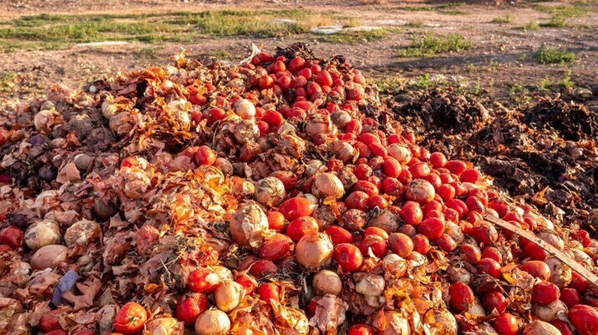 آمار‌های تکان‌دهنده از نابودی محصولات کشاورزی/۳۰ درصد تولیدات 