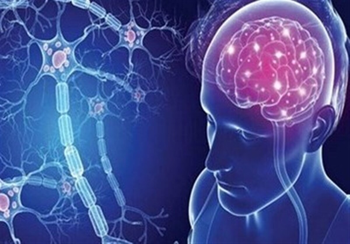 روشی نوین در درمان‌ام اس به کمک سلول‌های ضد سرطان