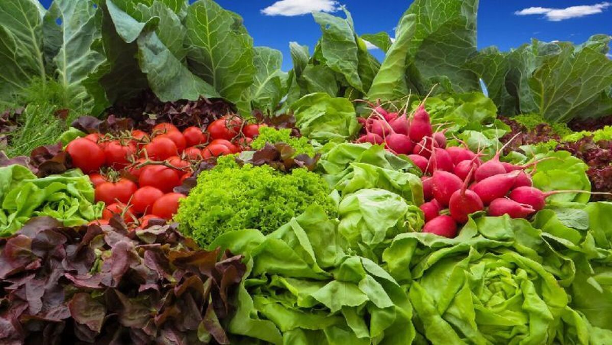 سبزیجاتی که هنگام پخت حاوی مواد مغذی بیشتری هستند، نامگذاری شده‌اند