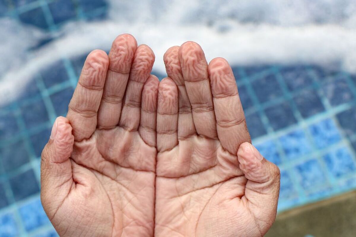 دانشمندان راز شگفت‌انگیز چین و چروک روی انگشتان خیس را کشف کردند