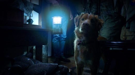 ۷ فیلم پیشنهادی ترسناک مخصوص جمعهای دوستانه در شب هالووین ۷ فیلم پیشنهادی ترسناک مخصوص جمعهای دوستانه در شب هالووین