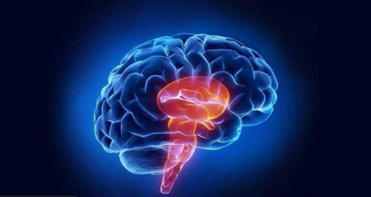 برای نخستین بار نقشه دقیق درد در ساقه مغز ترسیم شد!