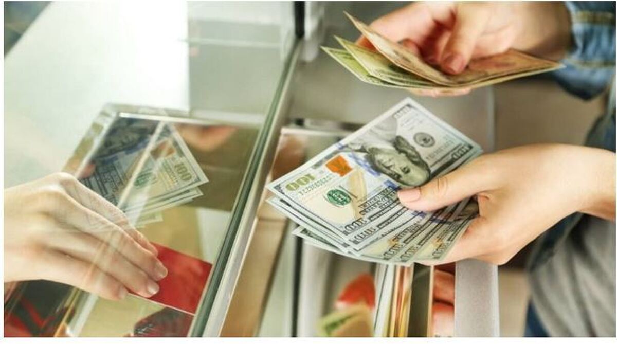 سهمیه ارز دولتی و استفاده‌های عجیب از آن!