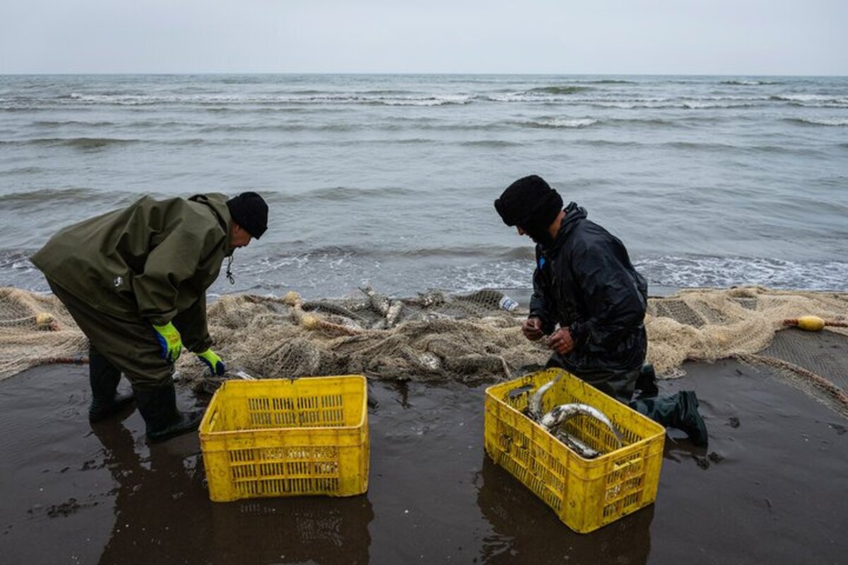 ایجاد بیش‌از ۳۰ هزار طرح اشتغال‌زایی در مناطق محروم طی ۷ ماهه امسال