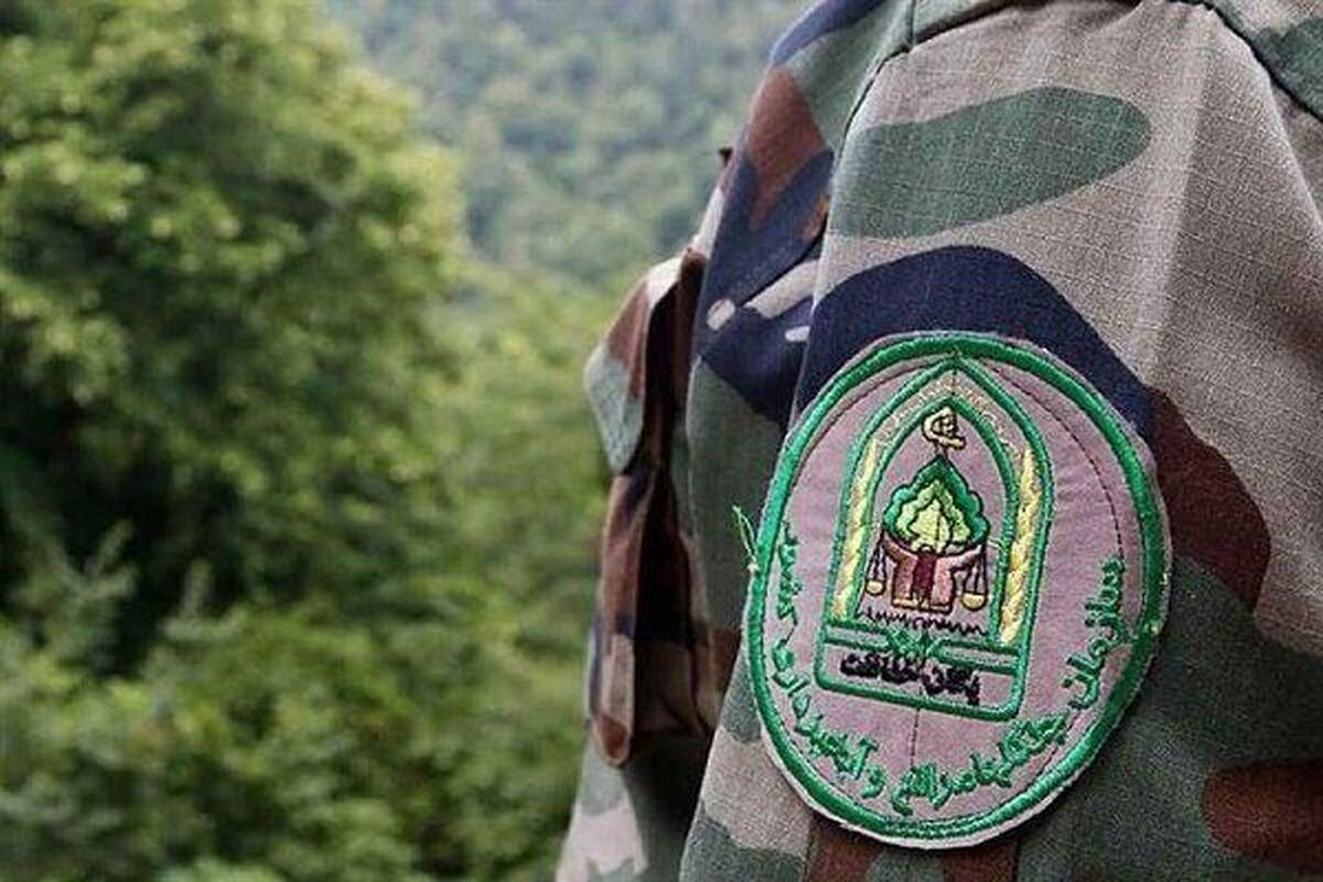 شناخته شدن ۹ نفر از نیرو‌های حفاظتی به عنوان فداکار خدمت