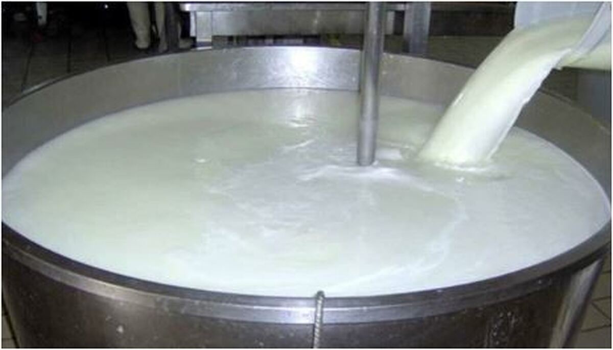 رشد ۳۰ درصدی قیمت شیر، در طی چند هفته اخیر