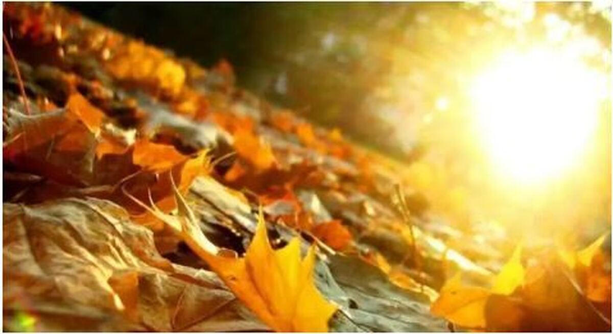 پاییز و زمستان امسال منتطر برف نباشید!