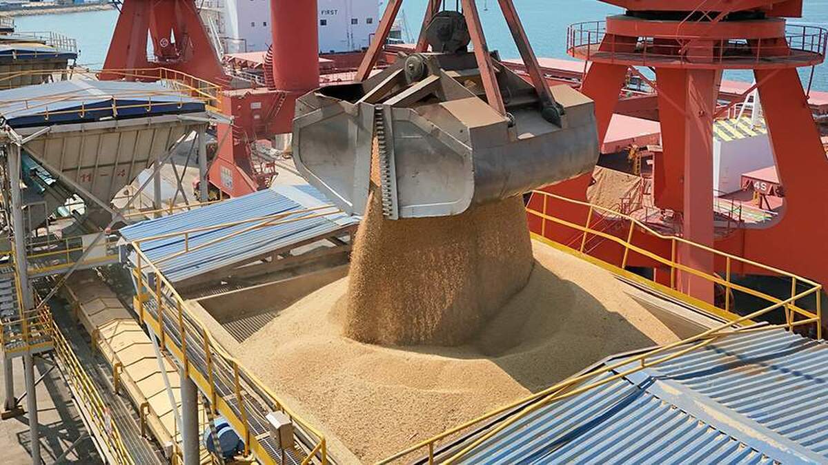 بلومبرگ از قصد چین برای «خرید قابل توجه» سویا از آمریکا مطلع شد.