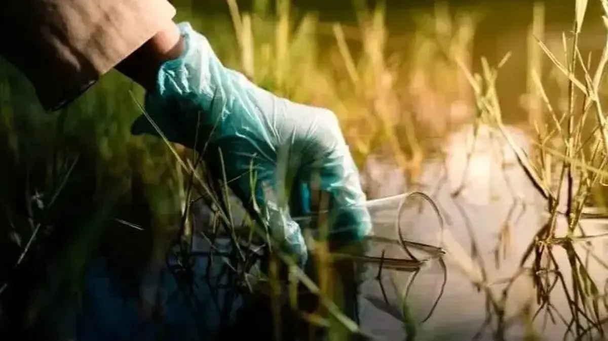 آنتیبیوتیکها چه بلایی بر سر رودخانهها آوردهاند؟