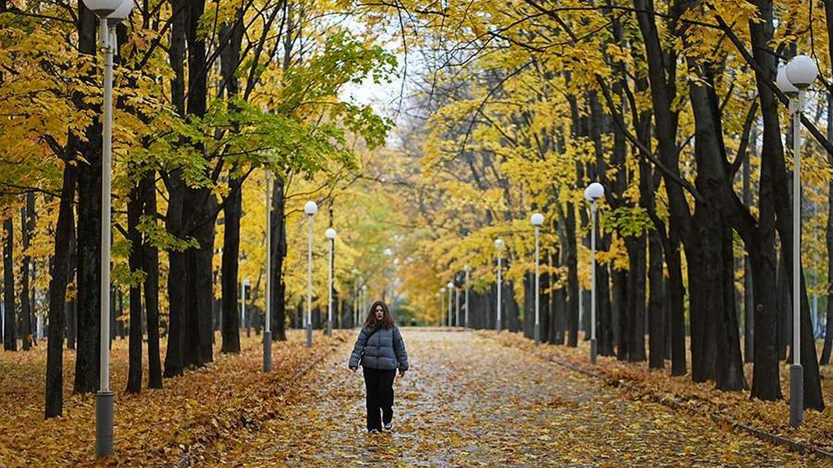 تحقیقات نشان می‌دهد پیاده‌روی در کاهش استرس و اضطراب مؤثر است