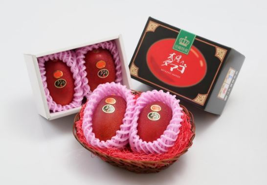 ۵ مورد از گرانقیمتترین و لوکسترین میوهها در جهان ۵ مورد از گرانقیمتترین و لوکسترین میوهها در جهان