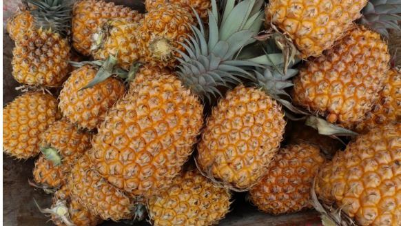 ۵ مورد از گرانقیمتترین و لوکسترین میوهها در جهان ۵ مورد از گرانقیمتترین و لوکسترین میوهها در جهان