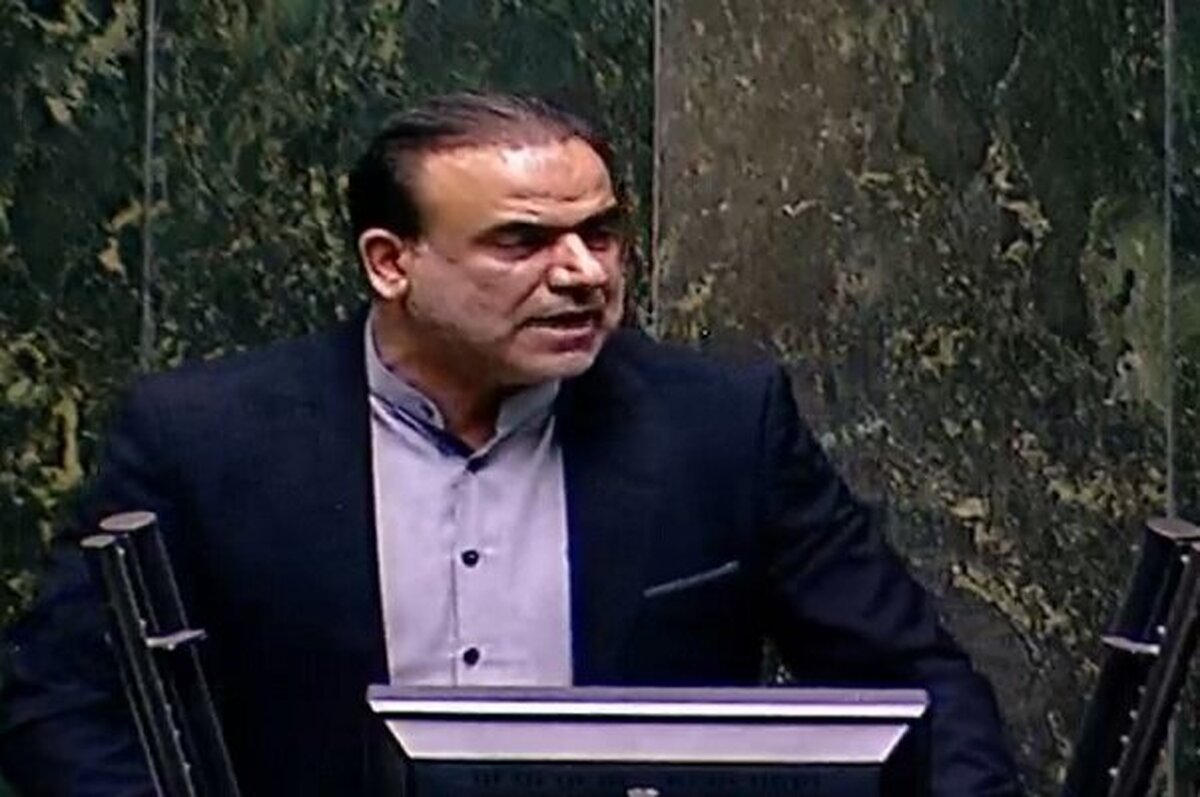 نماینده مجلس خواستار برخورد با دلالان حوزه نهادههای دامی شد