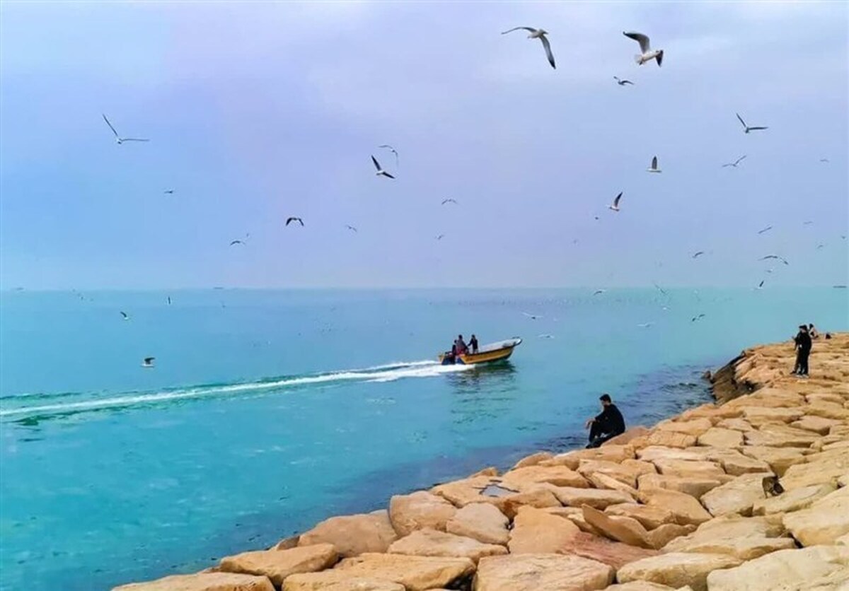 آرامش جوی تا شنبه؛ دریای بوشهر یکشنبه مواج خواهد شد