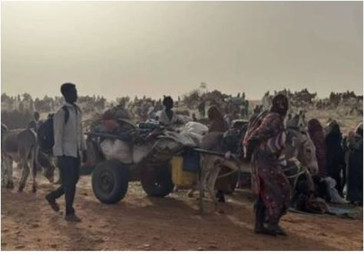 اعدام بیش از ۲ هزار نفر در الفاشر به مدت ۲ روز