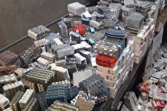 در انبار یک شرکت دارویی معتبر هندی مارمولک و گربه پیدا شد