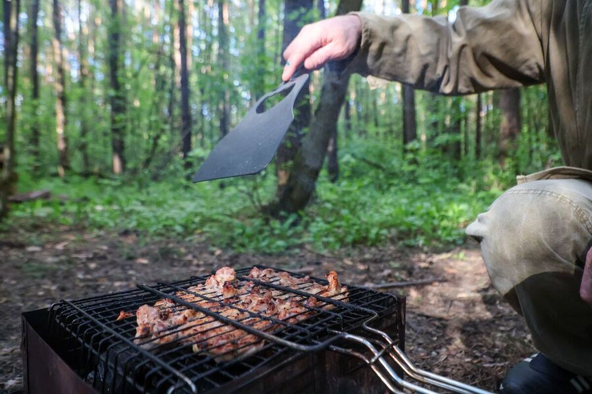 میزان مصرف ششلیک در روز اعلام شده است