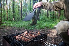 میزان مصرف ششلیک در روز اعلام شده است