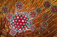 واکسن آزمایشی علیه تمام گونه‌های شناخته شده و آینده آنفولانزای مرغی