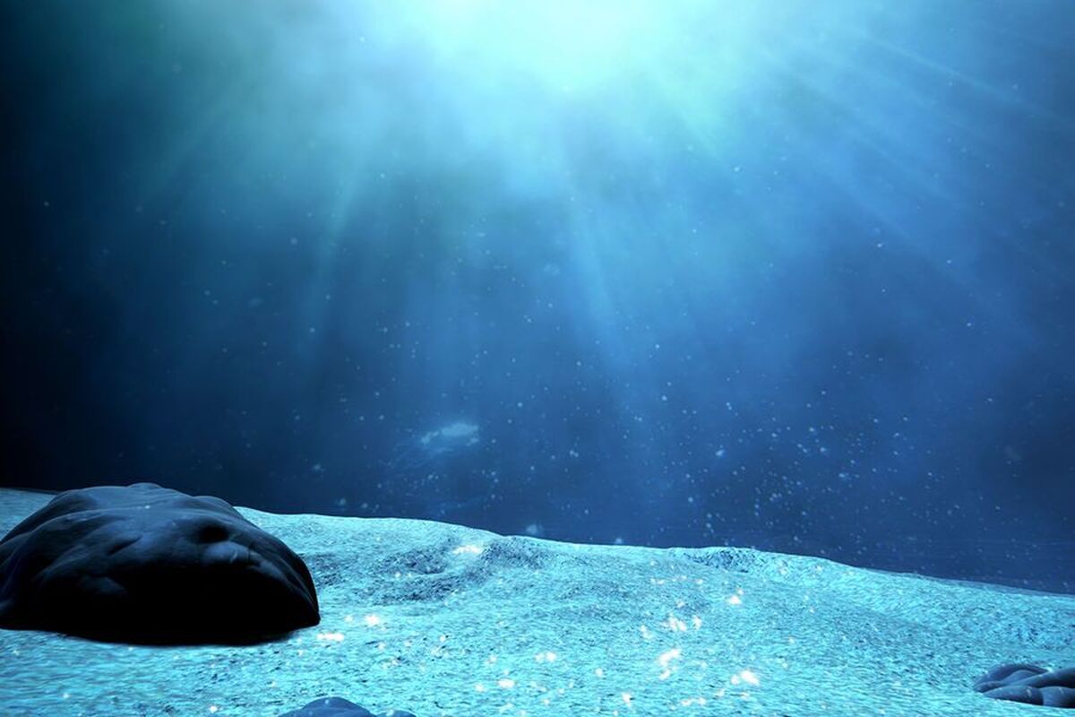 دانشمندان اعتراف کردهاند که تقریباً هیچ چیز در مورد اعماق اقیانوسهای زمین نمیدانند