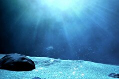 دانشمندان اعتراف کرده‌اند که تقریباً هیچ چیز در مورد اعماق اقیانوس‌های زمین نمی‌دانند