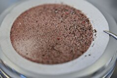 دانشمندان هشدار می‌دهند که نانوپلاستیک‌ها به «اسب تروا» برای فلزات سمی تبدیل شده‌اند