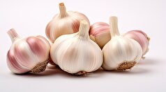 بررسی ایمن‌ترین و خطرناک‌ترین روش‌های نگهداری سیر