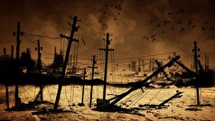 دانشمندان بهترین محصولات کشاورزی را برای زنده ماندن از گرسنگی در طول زمستان هسته‌ای شناسایی کرده‌اند