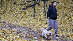 یک دامپزشک توضیح داد که چگونه سگ‌ها می‌توانند ترس انسان را حس کنند.