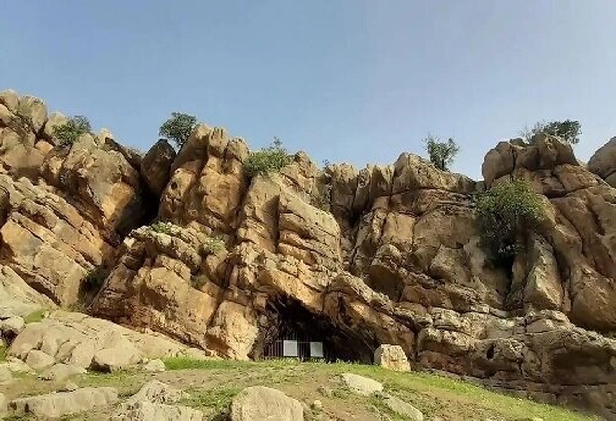 سند تک برگ غار تاریخی