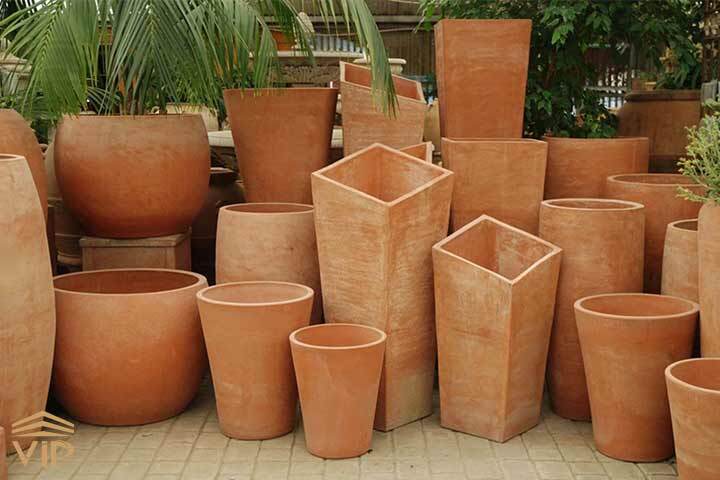 رفع مشکل لوله شدن برگ سانسوریا