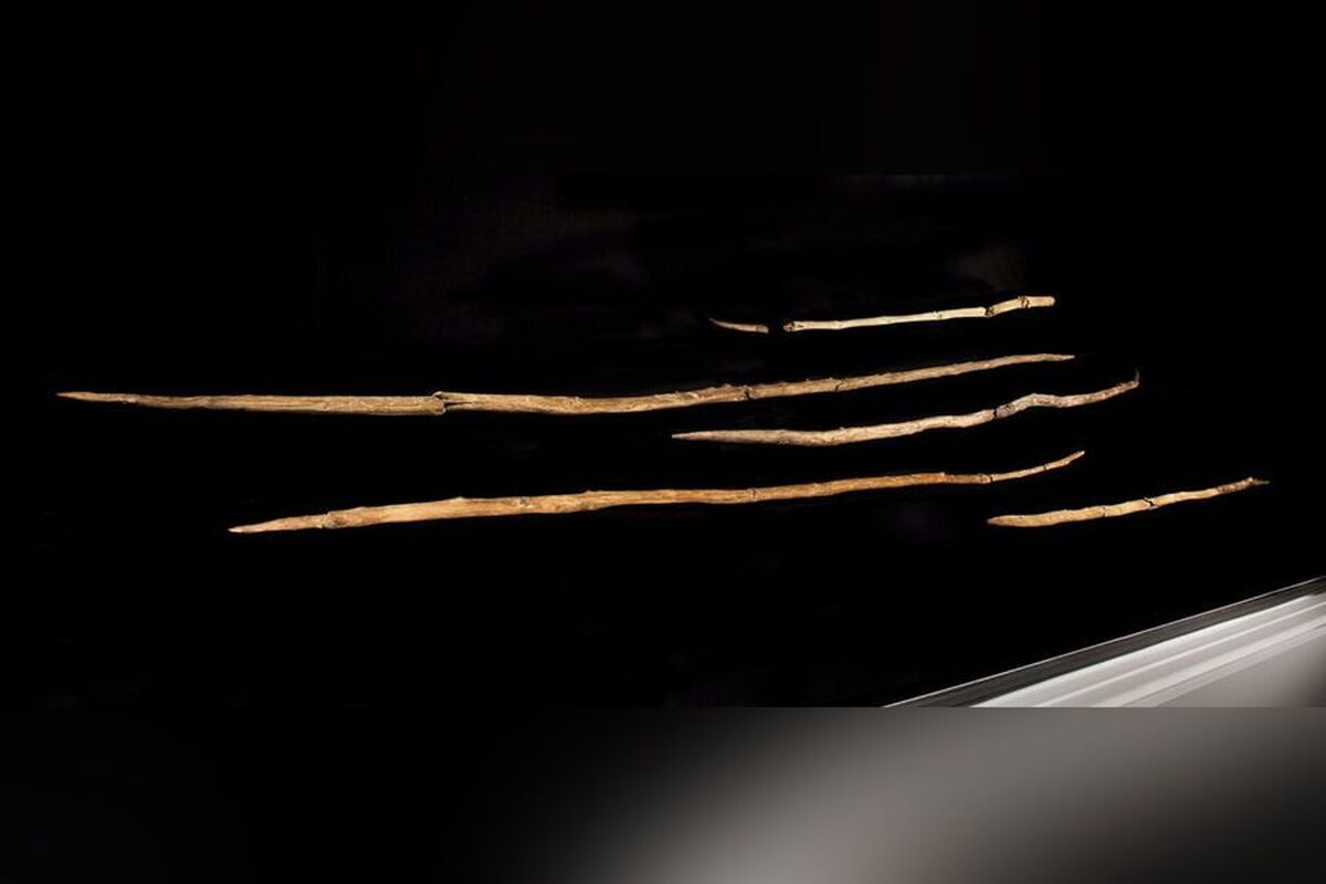 دانشمندان راز سلاحهای باستانی نزدیکترین خویشاوندان انسان را کشف کردند