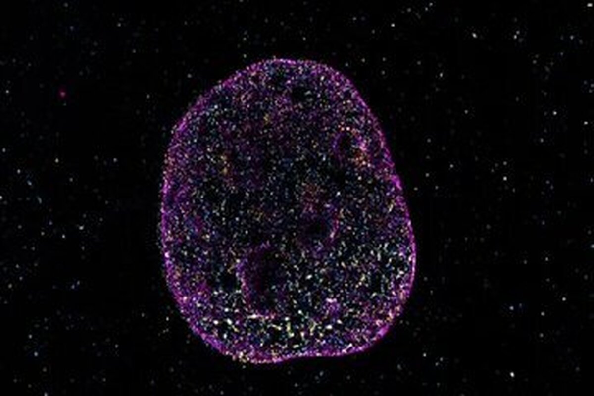 «کد هندسی» پنهان که در به خاطر سپردن موضوعات نقش دارد