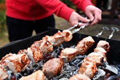 یک پزشک هشدار داده است که بیماری کزاز می‌تواند از طریق سیخ کباب منتقل شود