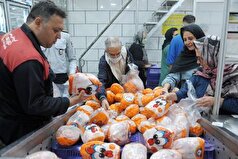 عامل اصلی نوسانات قیمت مرغ چیست؟