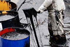 دانشمندان دانشگاه ایالتی مسکو روشی برای پاکسازی مؤثر بستر دریا از نفت کوره ابداع کرده‌اند