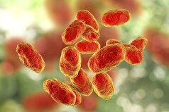 با این بیماری کشنده قدیمی که به لطف واکسن مهار شده است بیشتر آشنا شوید!