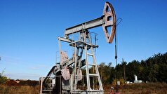 بلومبرگ گزارش داد که هند به دنبال راه‌های جدیدی برای واردات نفت روسیه است.