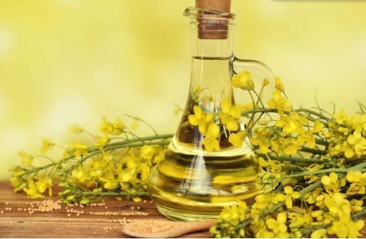 بررسی انواع روغنها برای پخت و پز در آشپزخانه/کدام بهتر است؟ بررسی انواع روغنها برای پخت و پز در آشپزخانه/کدام بهتر است؟