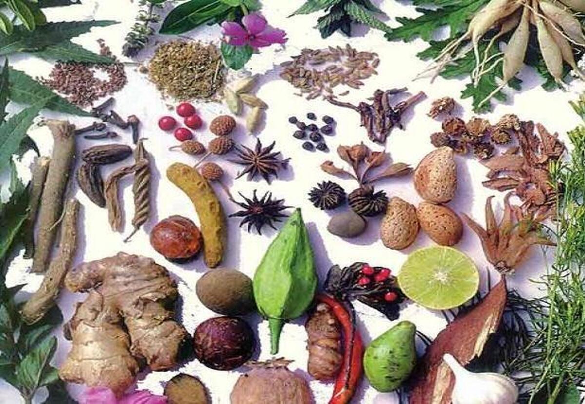 گیاهانی که در درمان چربی خون نقش دارند را بشناسید