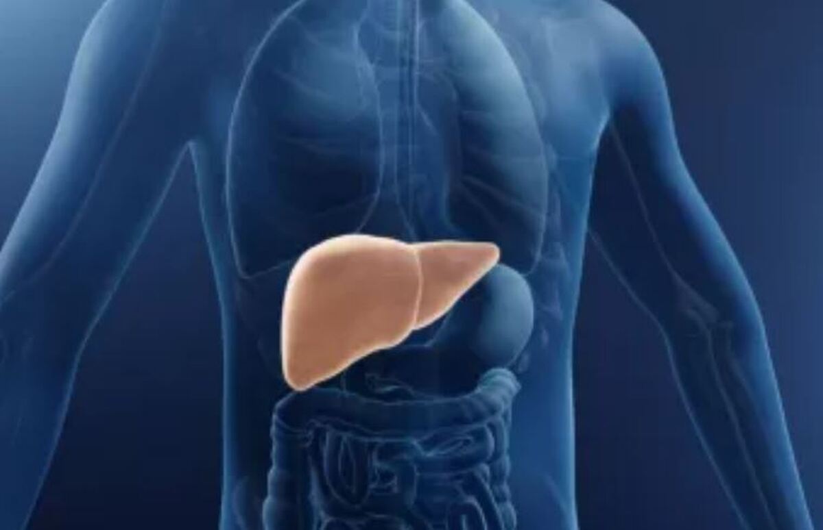 رژیم غذایی مناسب برای افراد مبتلا به کبد چرب