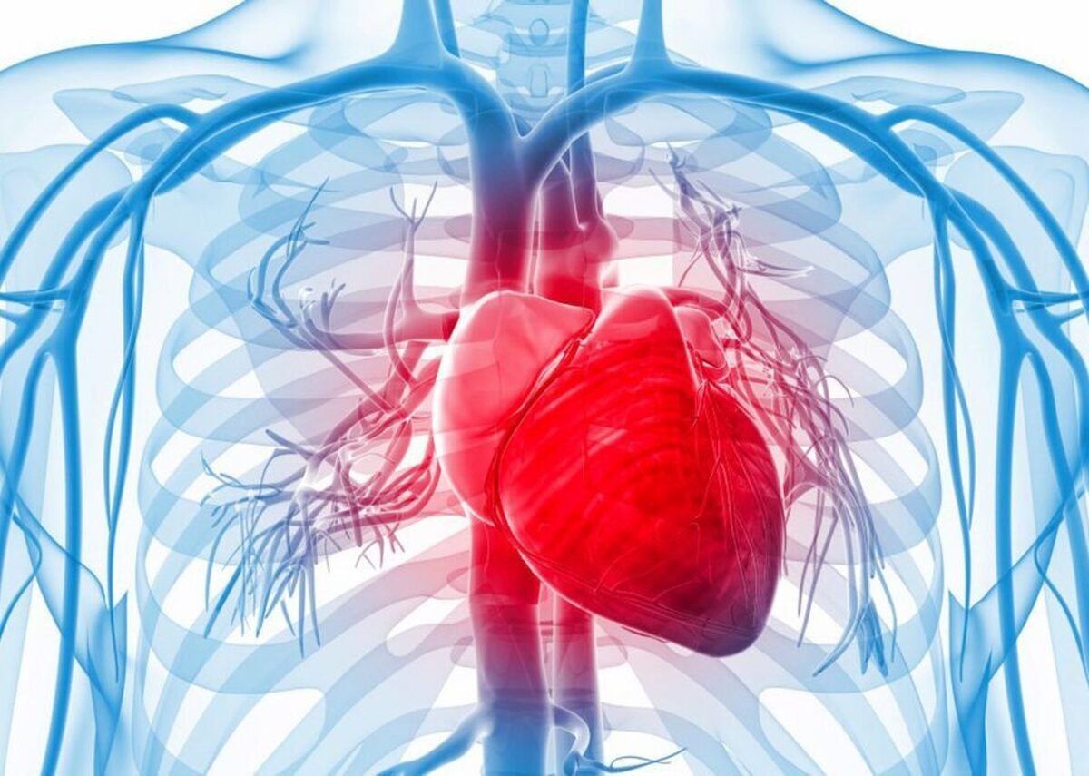 به کمک این رژیم غذایی به سلامت قلب تان کمک کنید
